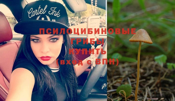винт Алексеевка