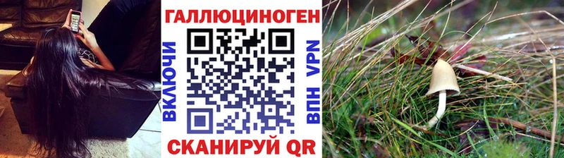 Псилоцибиновые грибы MAGIC MUSHROOMS  Невьянск 